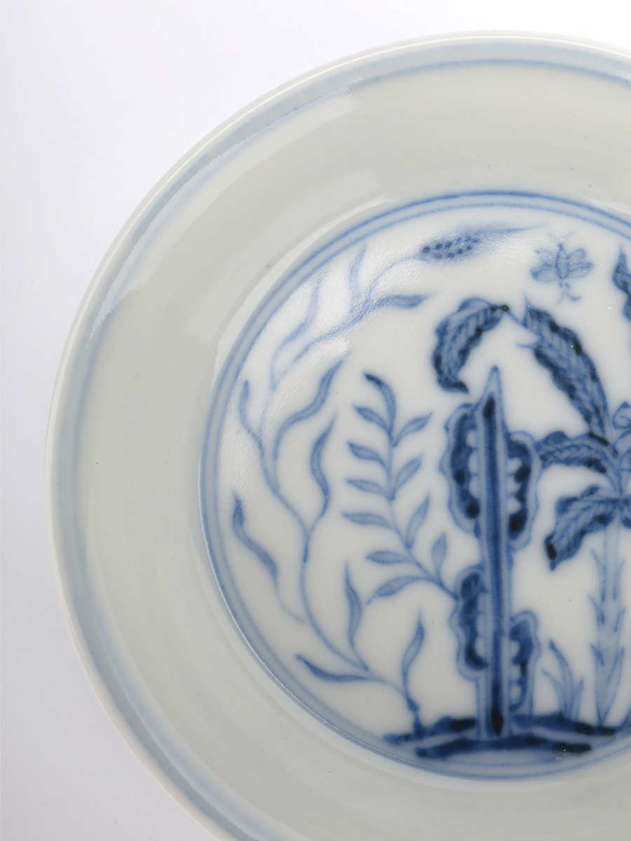 1710728666265644.jpg 5.jpg